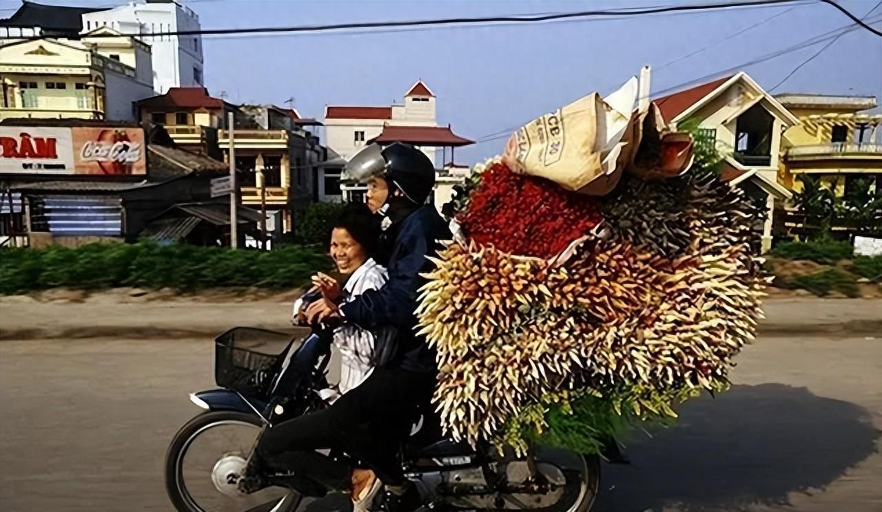 回国后我才敢说：越南是我去过的所有国家中，最被低估的